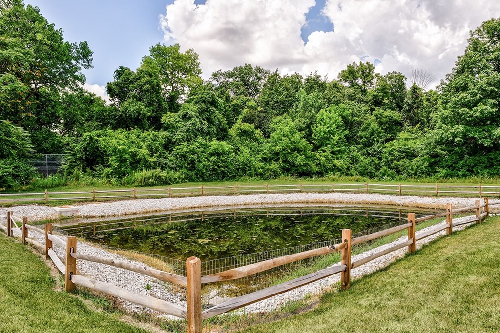A pond surrounded by a wooden fence in a grassy area.