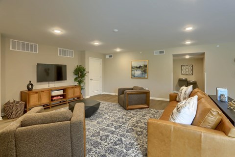 A living room with a brown couch, a grey rug, and a wooden entertainment center.