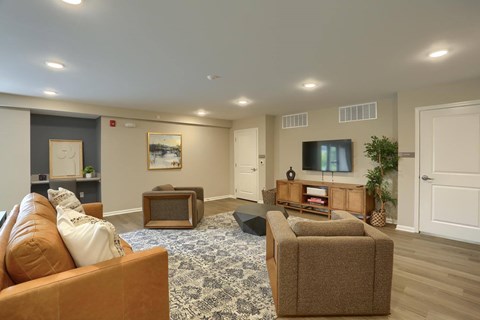 A living room with a brown couch and a grey rug.
