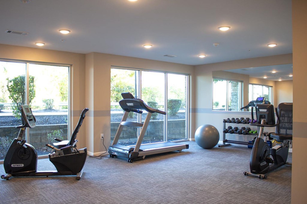 A gym with treadmills, elliptical machines, and weights.