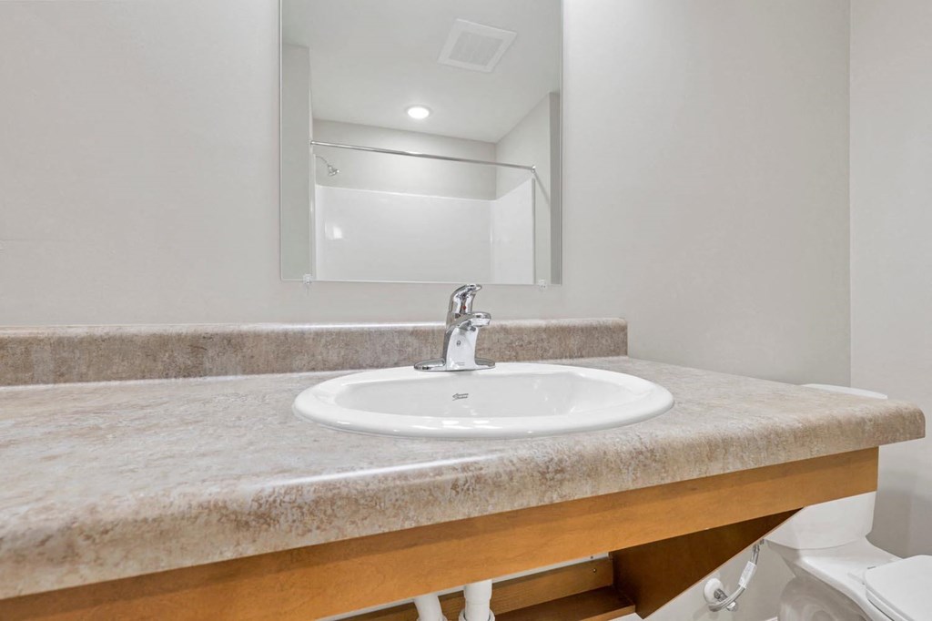 a bathroom with a sink and a mirror