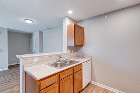 A kitchen with a sink and cabinets.