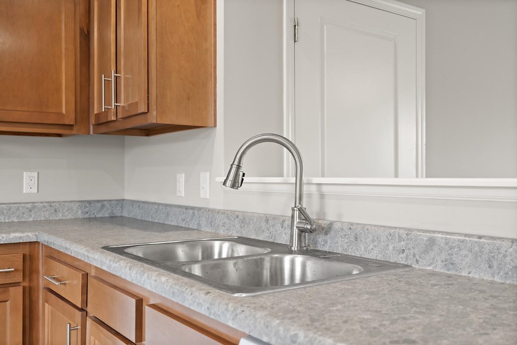 A kitchen with a sink and a faucet.