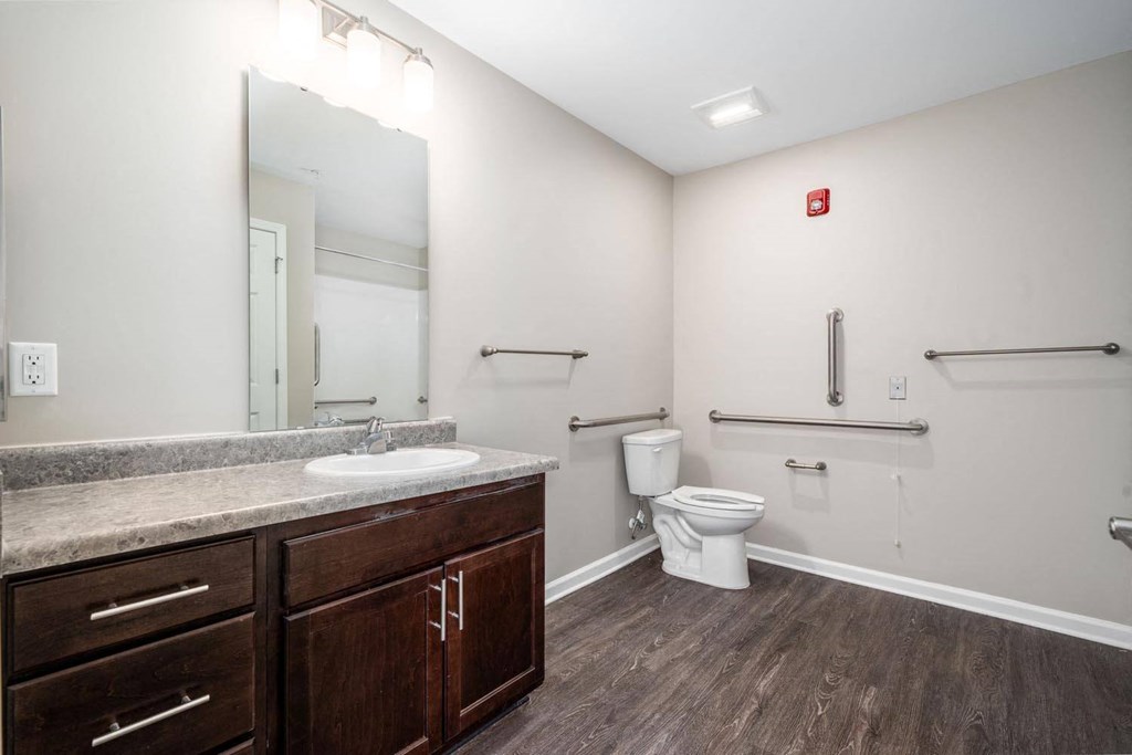 a bathroom with a sink and a toilet and a mirror