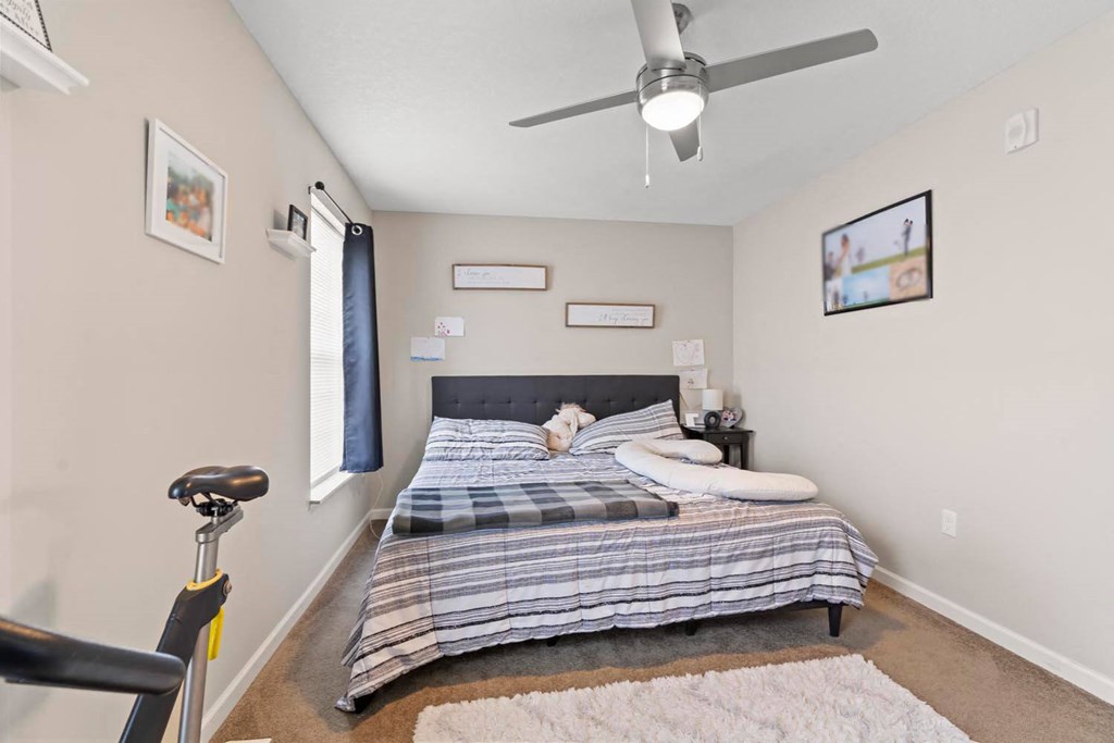 a bedroom with a bed and a ceiling fan