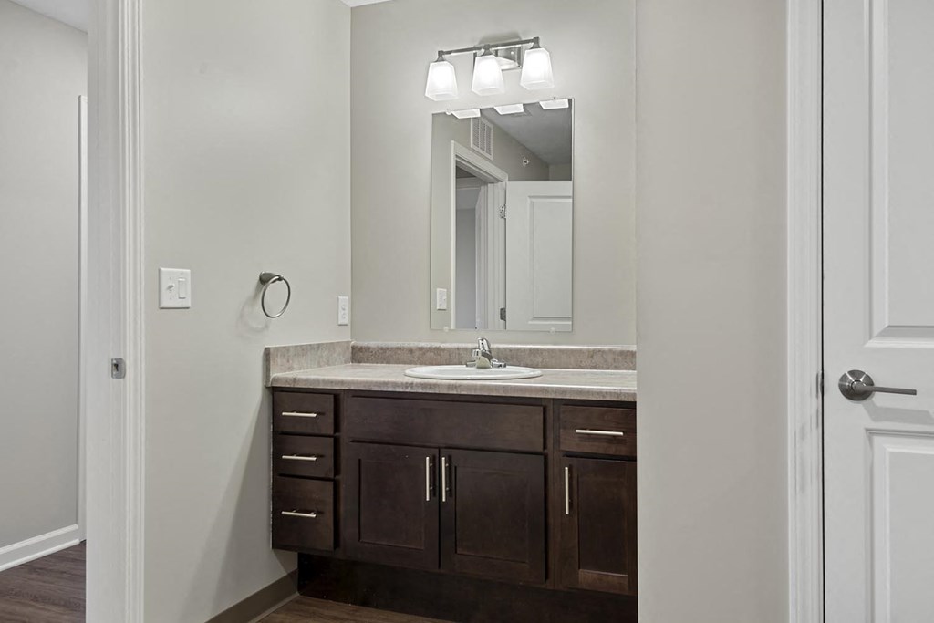 a bathroom with a sink and a mirror