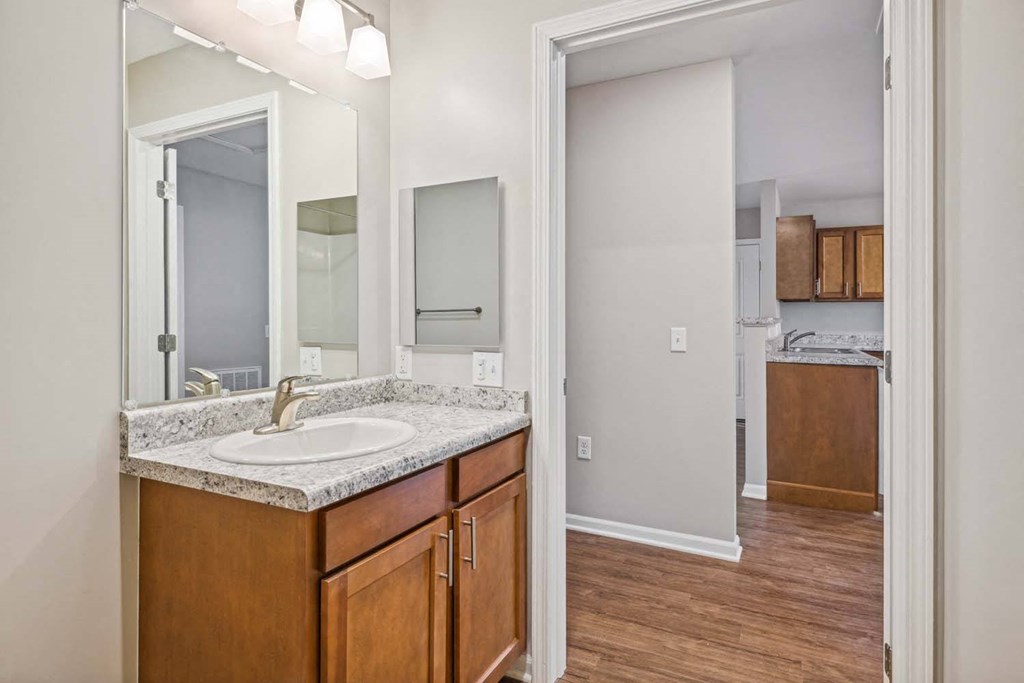 a bathroom with a sink and a mirror