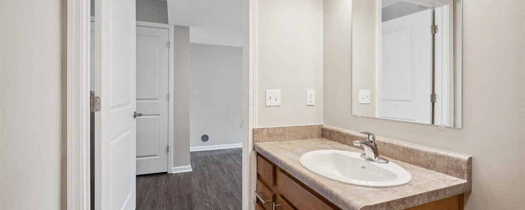 a bathroom with a sink and a mirror
