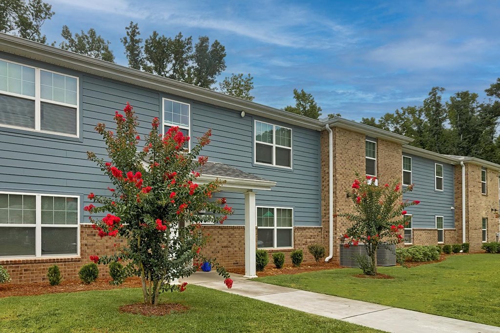 a blue house with red flowers in front of it