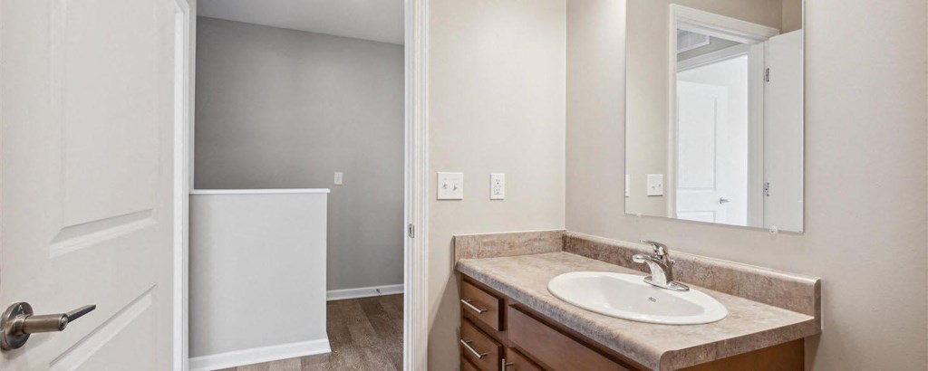 a bathroom with a sink and a mirror