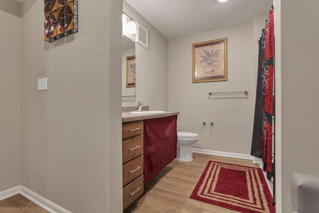 a bathroom with a toilet and a sink and a mirror