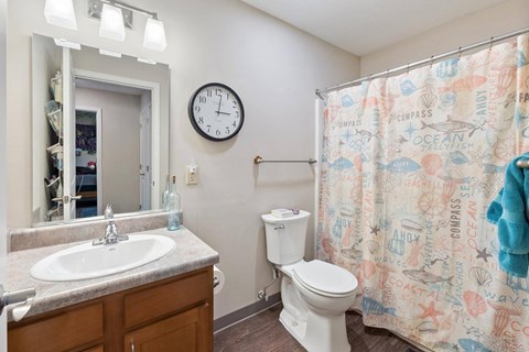 a bathroom with a shower curtain and a toilet and a sink