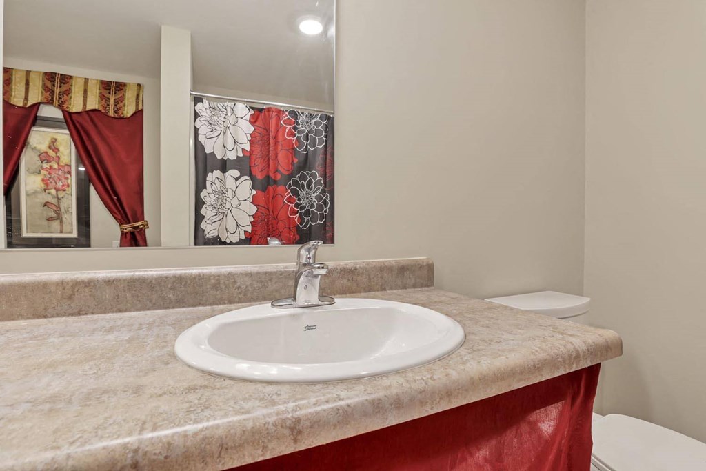 a bathroom with a sink and a mirror and a toilet