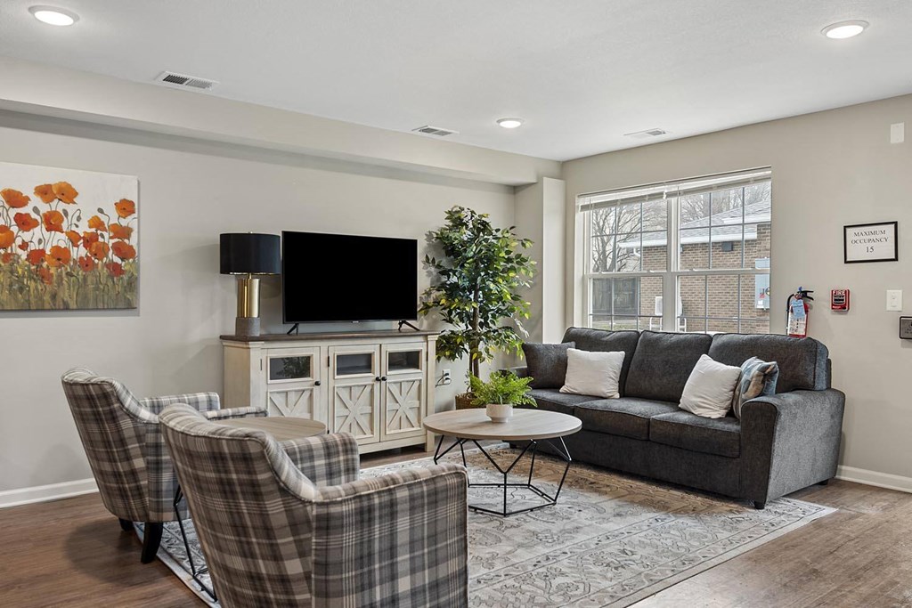 a living room with a couch and a tv