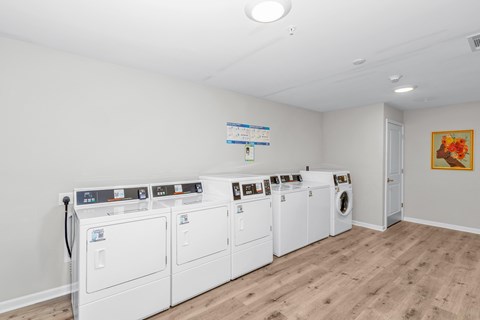 A row of white washing machines in a laundry room.