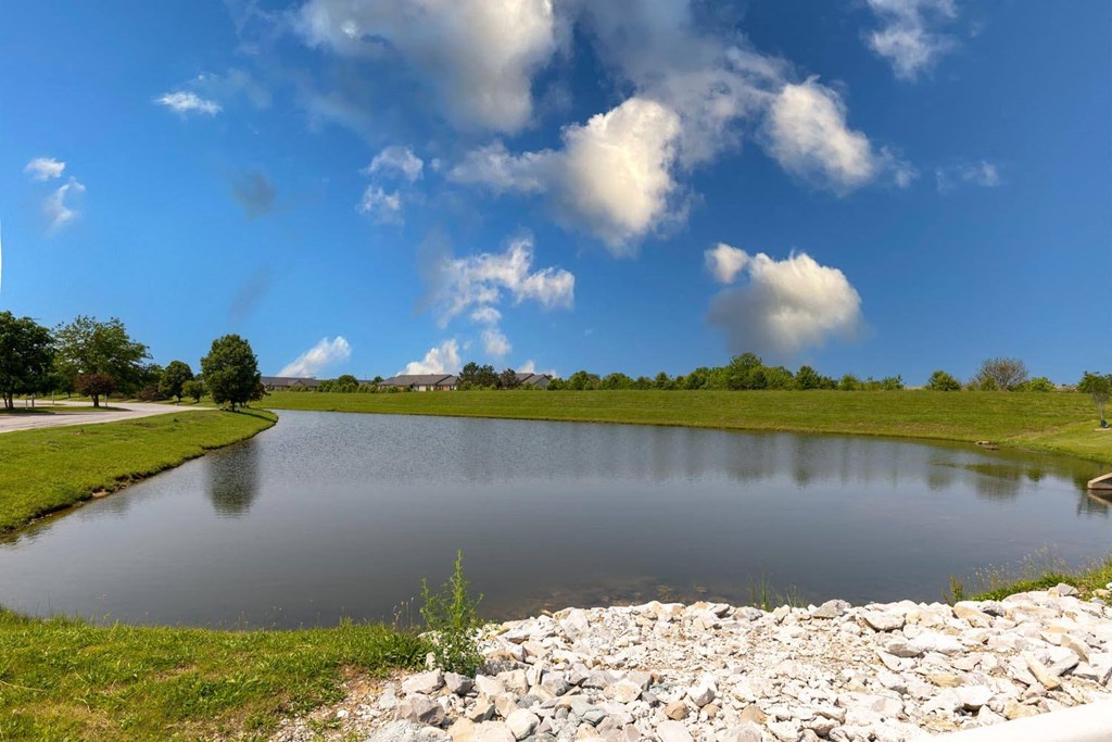 a small pond in the middle of a grassy field
