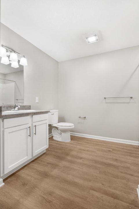 a bathroom with a toilet and a sink and a mirror