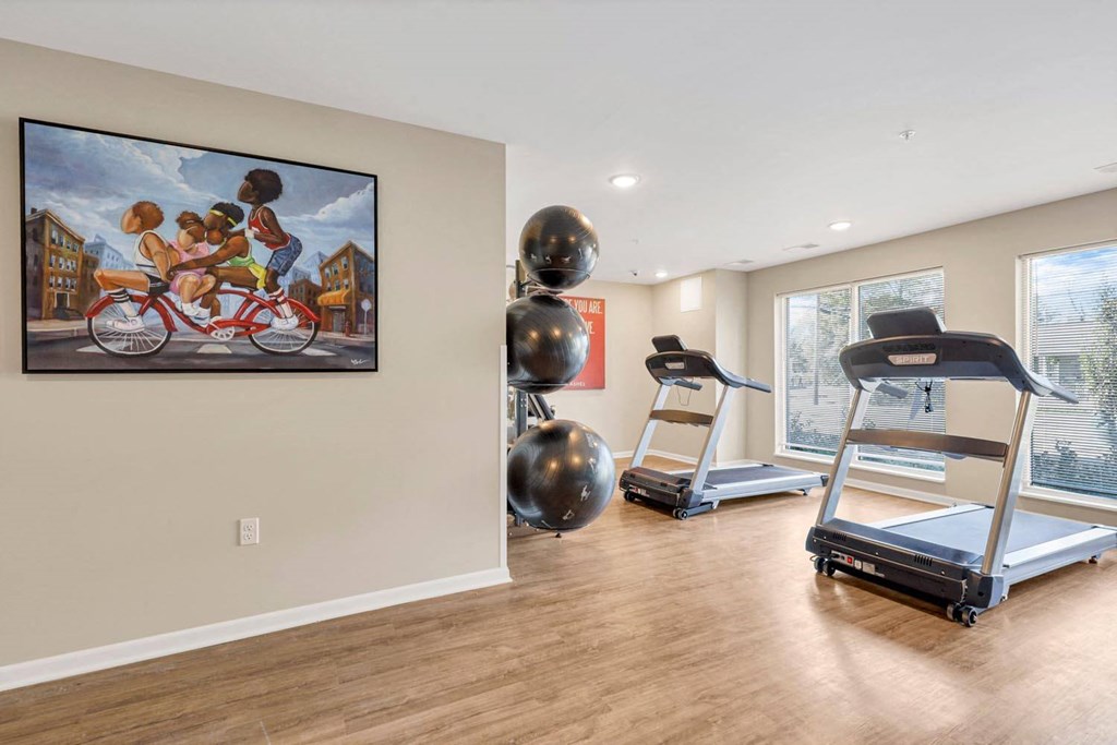 the gym in the owners home