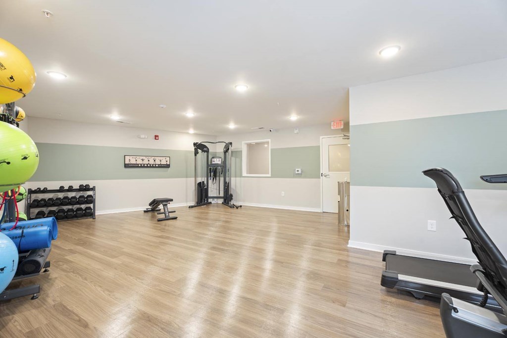 A gym with a variety of equipment including a treadmill, weights, and exercise balls.