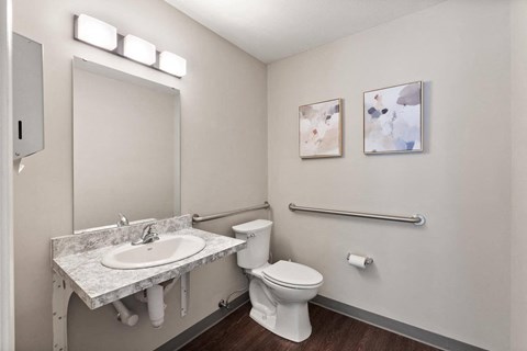 a bathroom with a sink and a toilet and a mirror