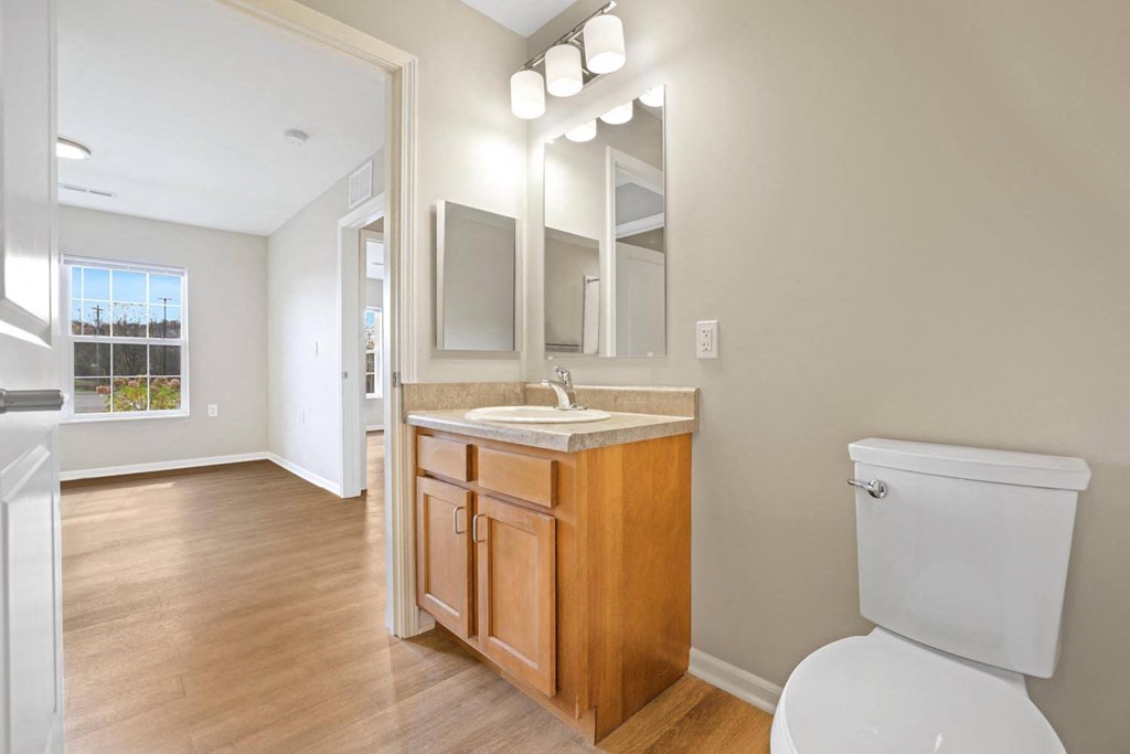 a bathroom with a toilet and a sink and a mirror