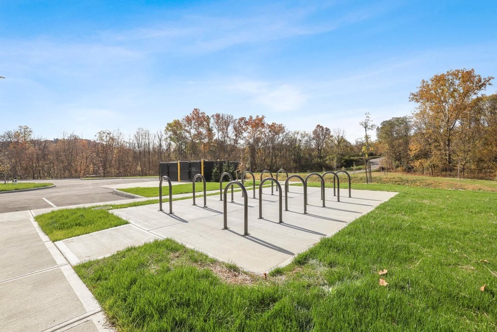 a row of handrails in a park