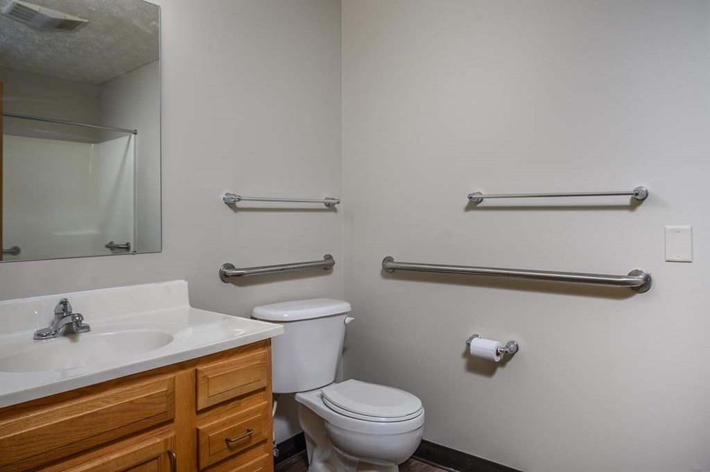 A bathroom with a toilet, sink, and grab bars.