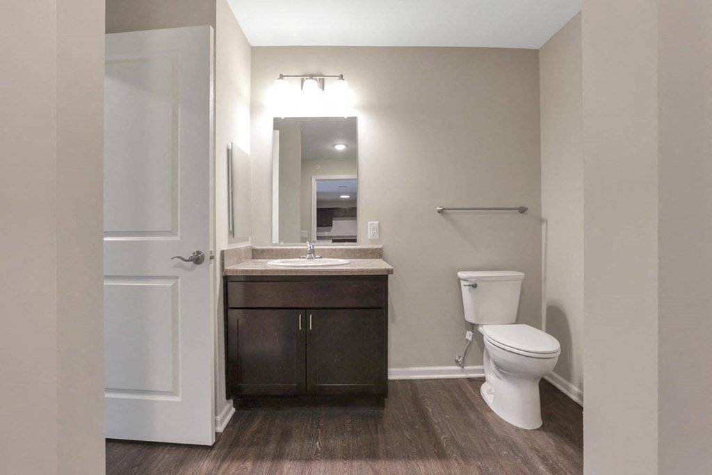 a bathroom with a toilet and a sink and a mirror