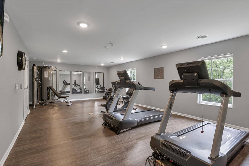 the gym in the home has treadmills and other exercise equipment