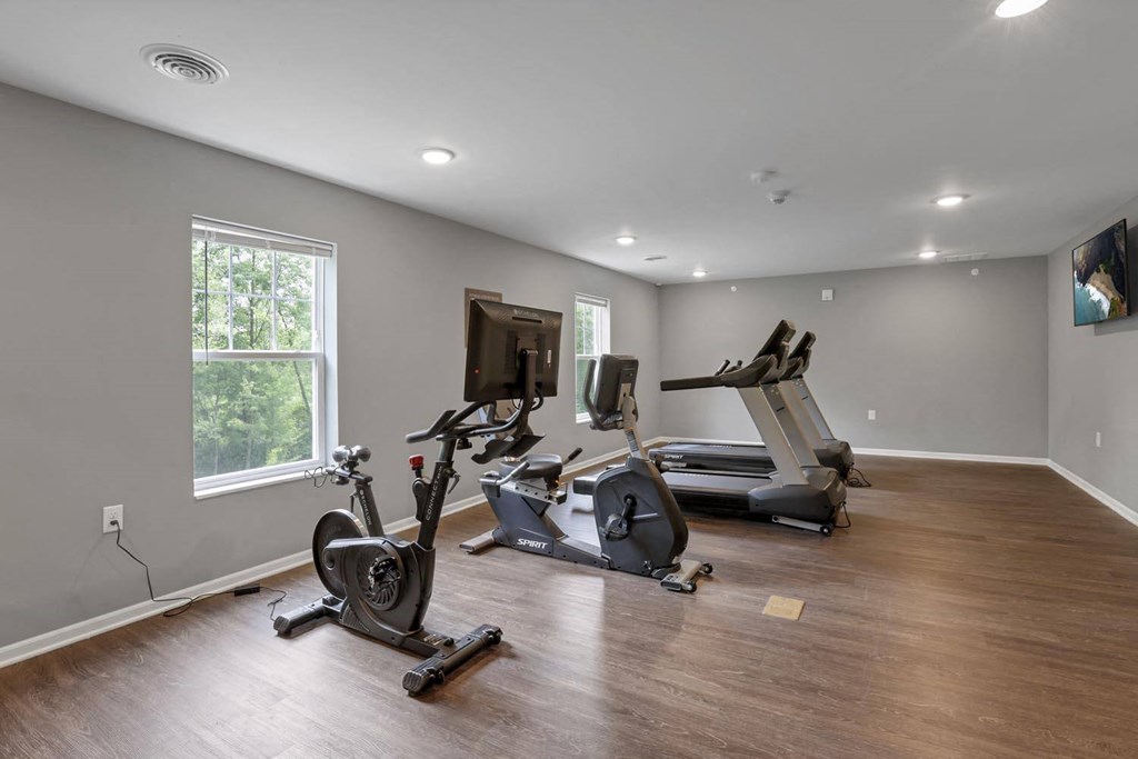 the gym in the owners home has treadmills and a tv