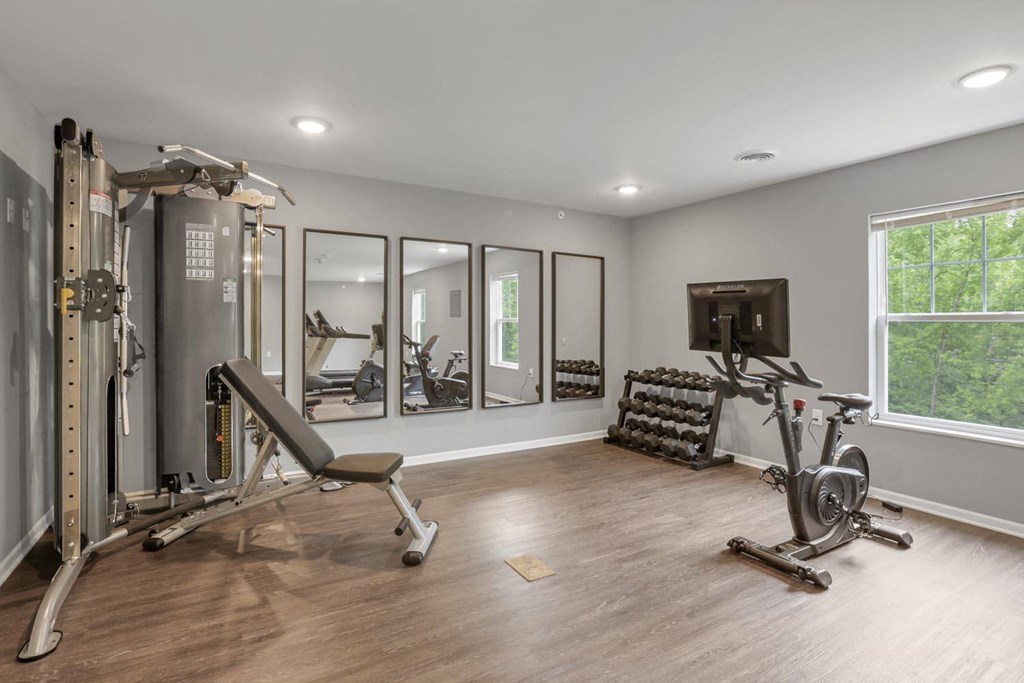the gym in the owners home has plenty of exercise equipment and a television