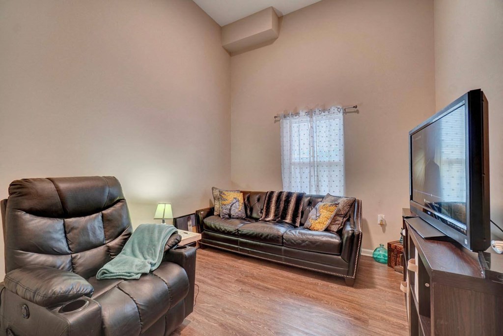 a living room with two couches and a tv