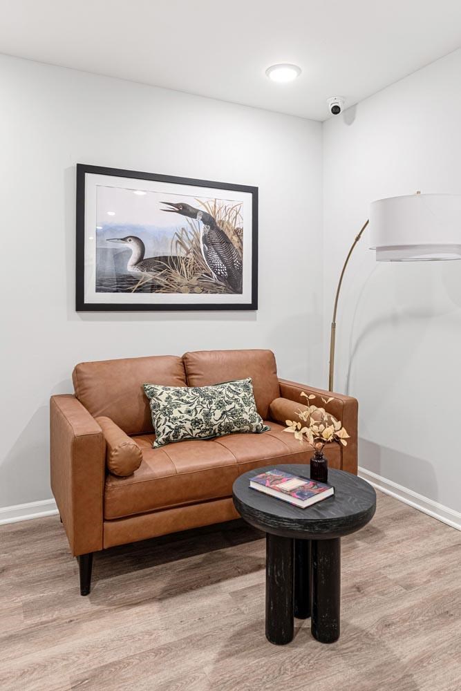 A living room with a brown couch and a picture of two birds on the wall.