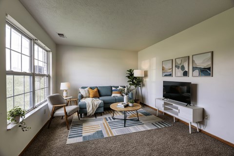 A living room with a blue couch, a television, and a rug.