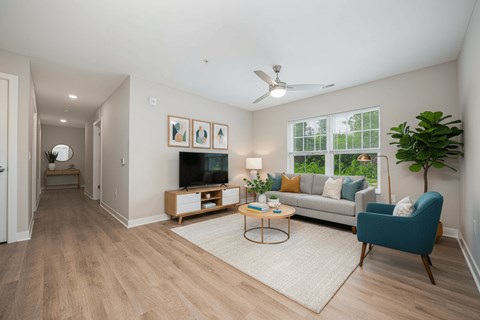 A living room with a television, couch, and a plant.
