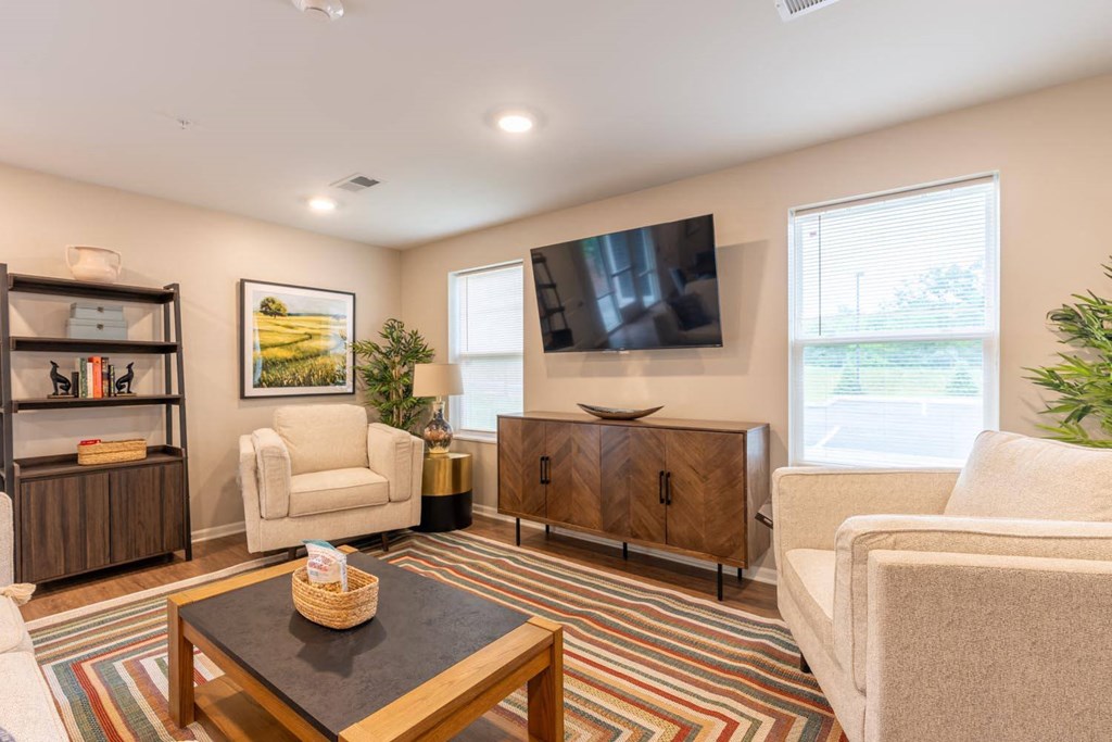 a living room with two couches and a tv