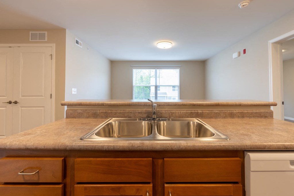 a kitchen with a sink and a counter top