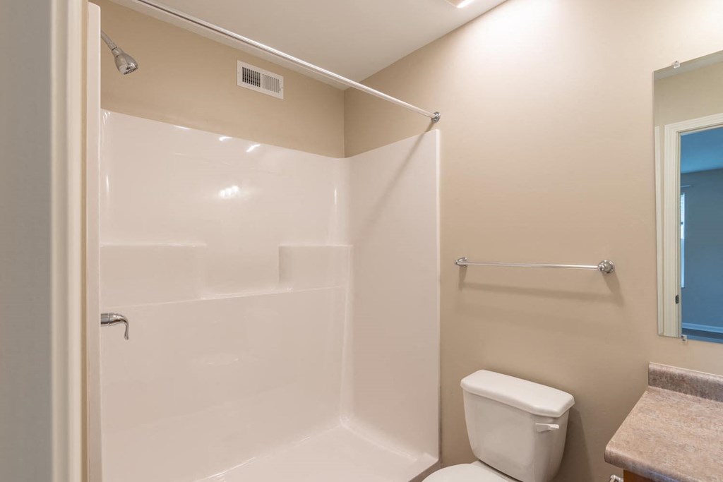 a bathroom with a shower and a toilet
