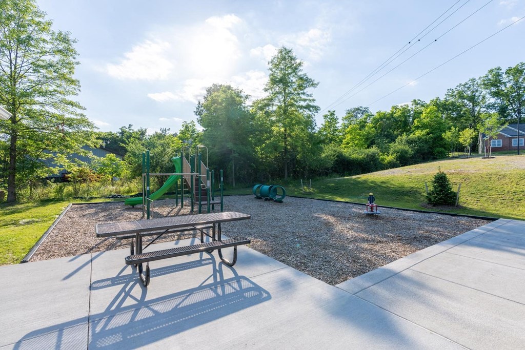a picnic table and a playground in a park