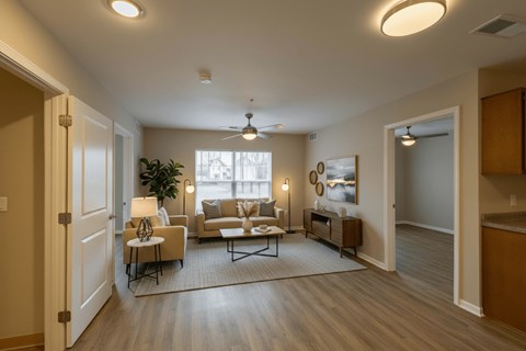 A living room with a couch, chair, and a rug.