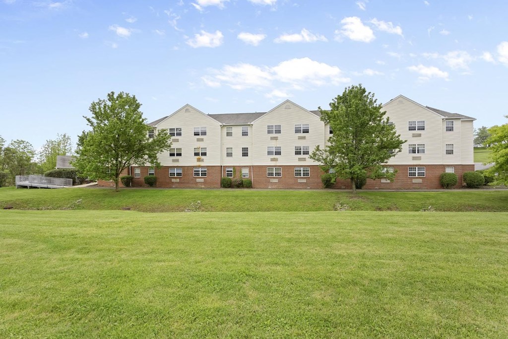 the view of our building from the field
