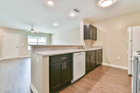 a kitchen with green cabinets and a white dishwasher