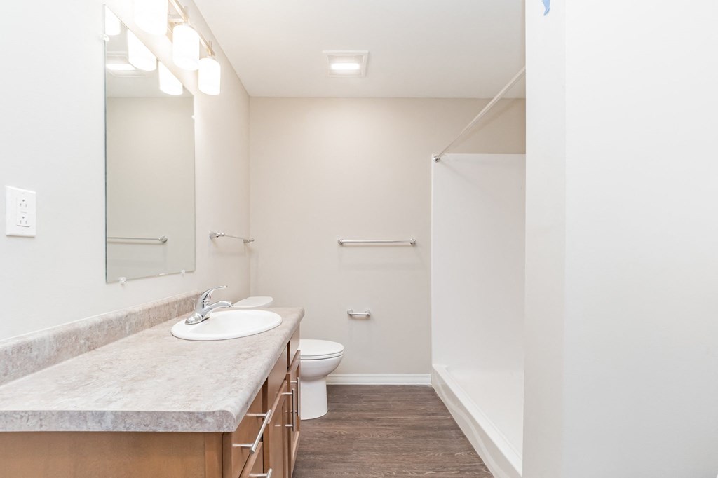 a bathroom with a sink and a toilet and a shower