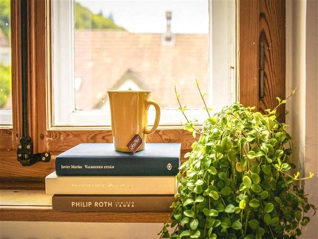 two books and a cup sitting on a window sill