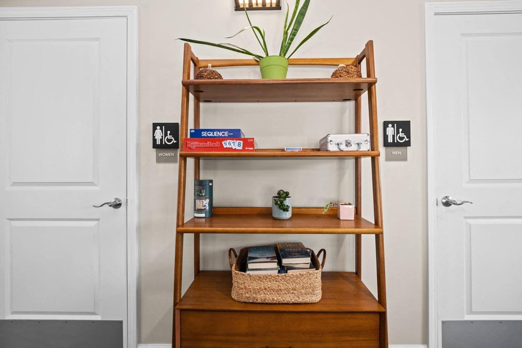 a shelf with a potted plant sitting on top of it