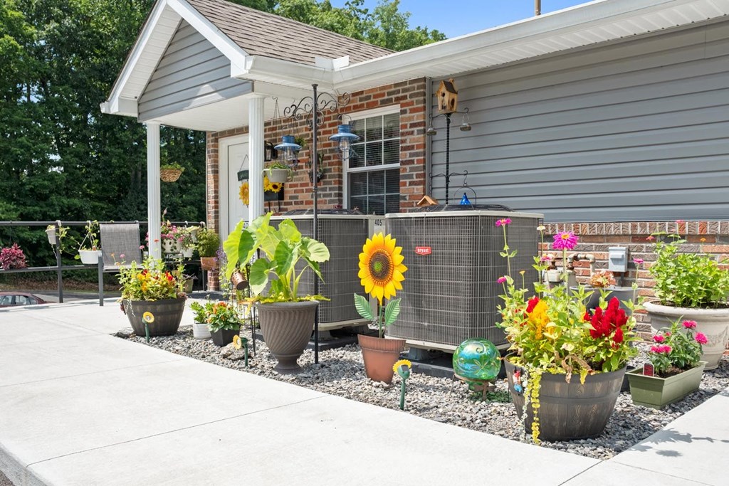 a yard with potted plants and flowers in front of a house