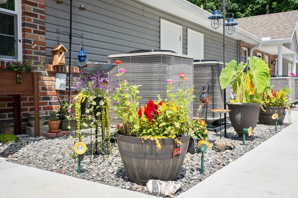 the side yard of a house with a yard filled with potted plants and flowers