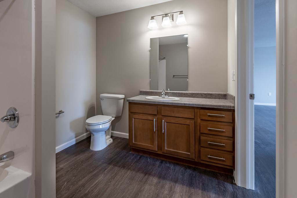 a bathroom with a toilet and a sink and a mirror