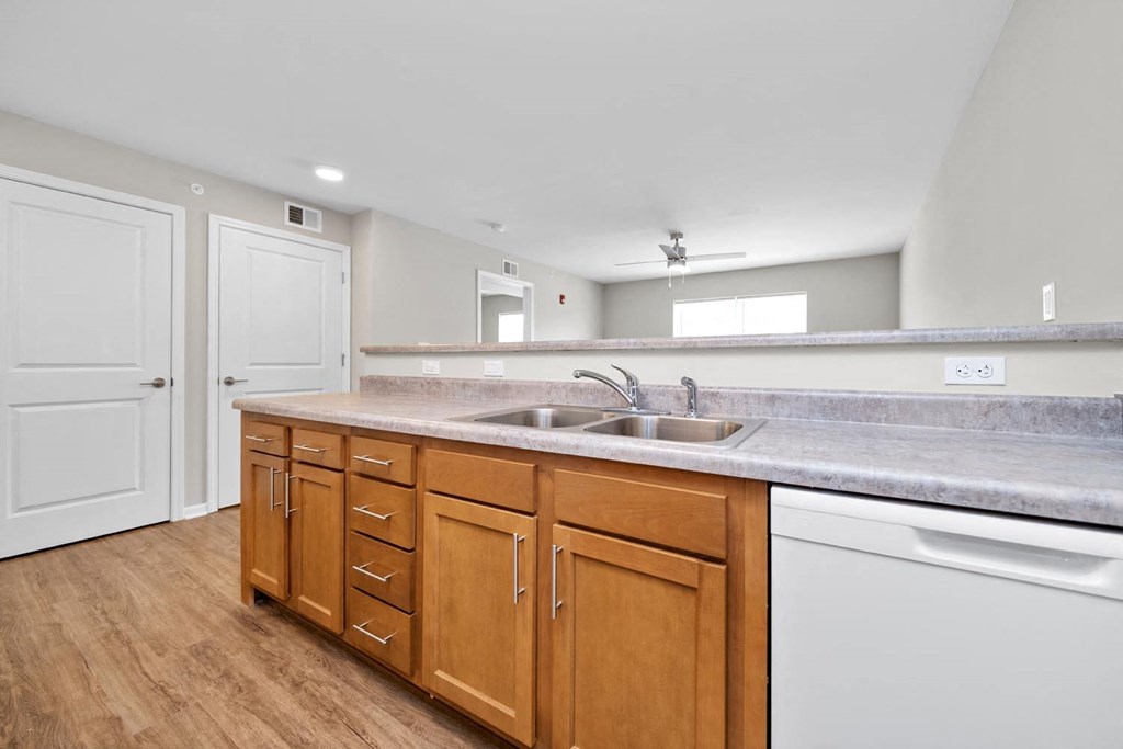 a kitchen with a sink and a dishwasher
