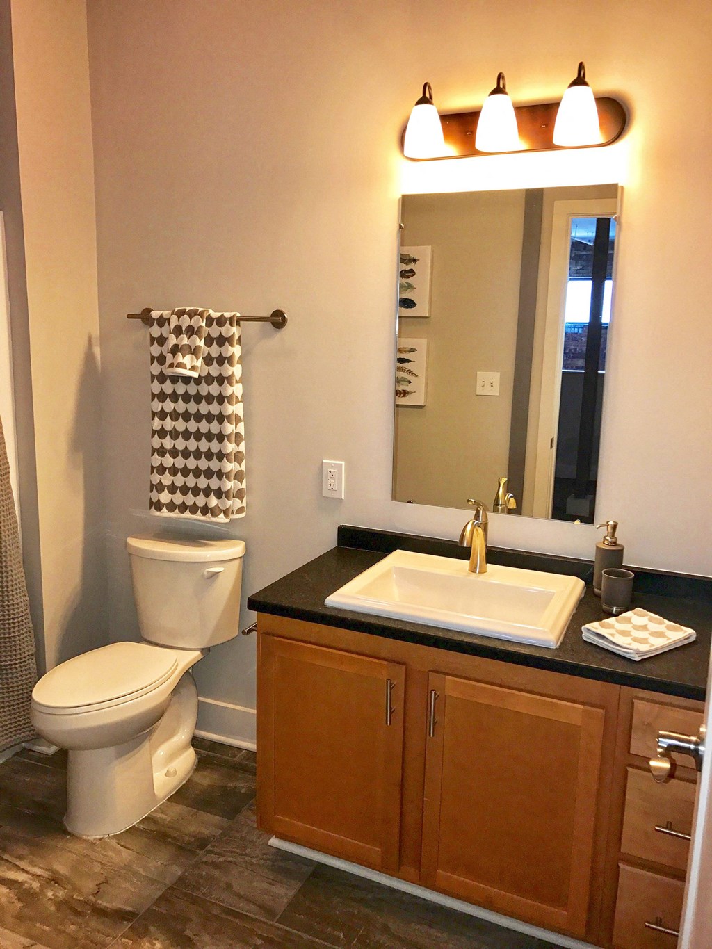 a bathroom with a toilet and a sink and a mirror